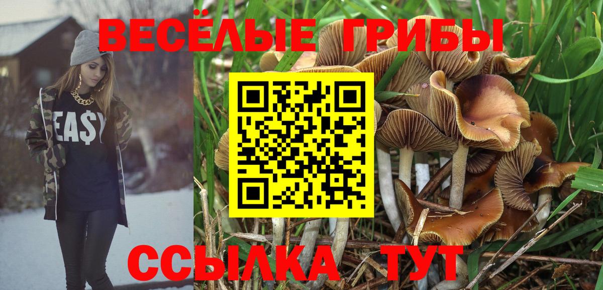 цены   Псилоцибиновые грибы мицелий  Вход с VPN  Каменск-Уральский 