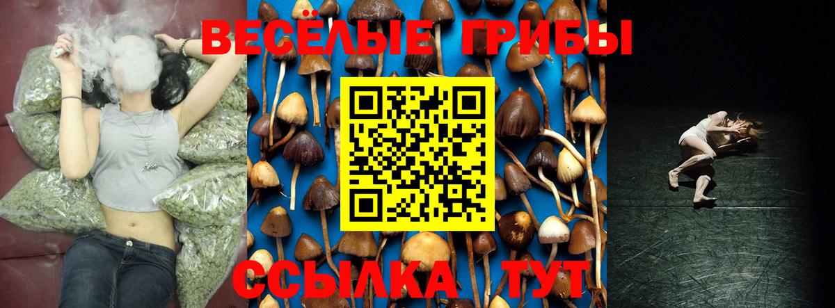 Галлюциногенные грибы Psilocybe Каменск-Уральский